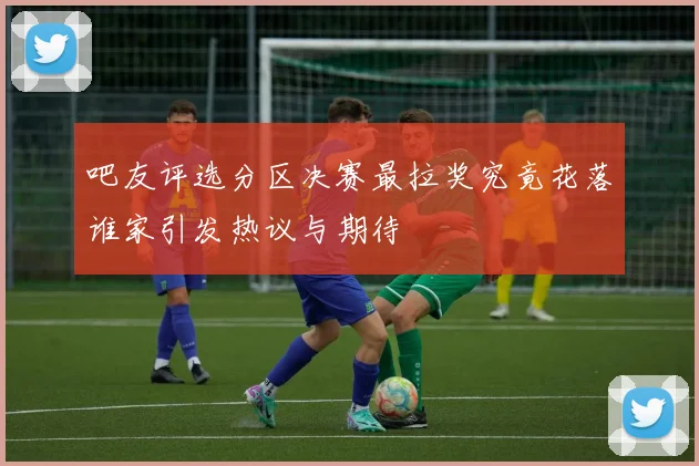 吧友评选分区决赛最拉奖究竟花落谁家引发热议与期待