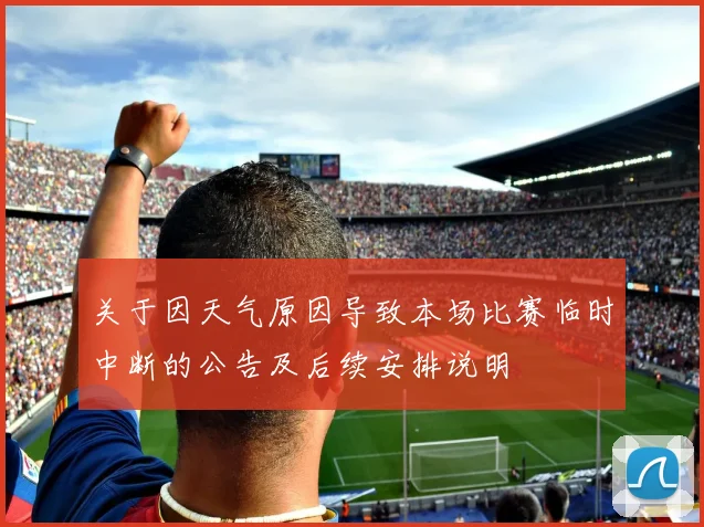 关于因天气原因导致本场比赛临时中断的公告及后续安排说明
